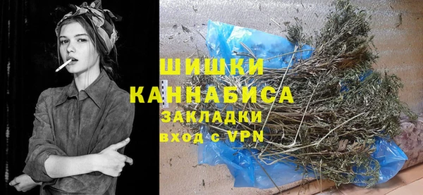 гидра Балахна